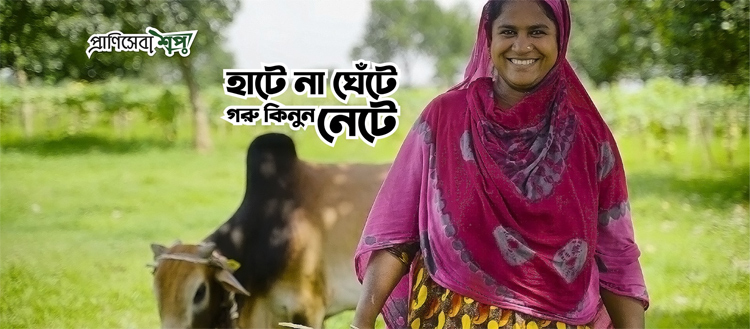 দেশের প্রান্তিক খামারিদের গরু পাবেন প্রাণিসেবা শপ অনলাইনে দেশের প্রান্তিক খামারিদের গরু পাবেন প্রাণিসেবা শপ অনলাইনে