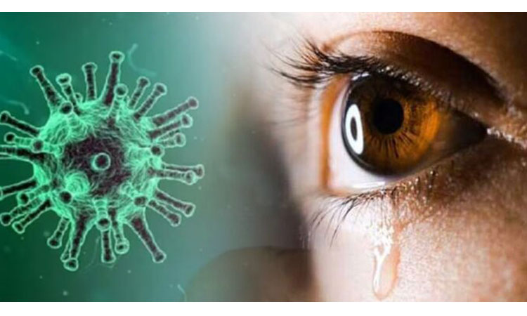 চোখের জলে হবে করোনা সনাক্ত চোখের জলে হবে করোনা সনাক্ত